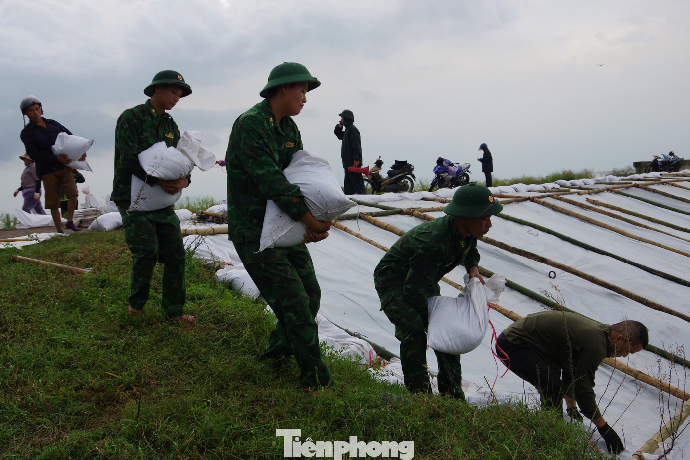 Cán bộ, chiến sĩ Bộ đội Biên phòng Ninh Bình cùng nhân dân gia cố đê điều chống bão số 3. Cán bộ, chiến sĩ Bộ đội Biên phòng Ninh Bình cùng nhân dân gia cố đê điều chống bão số 3.