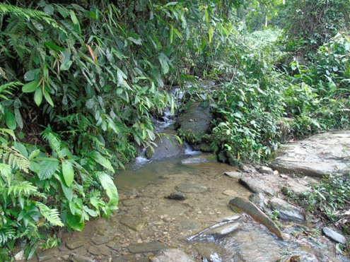 Thảm án ở Lào Cai: Thoát chết vì không tìm thấy chìa khóa ảnh 5