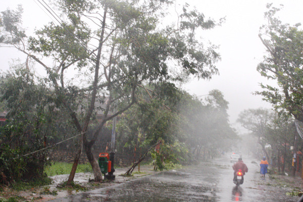 Đường vào TP Hội An tan hoang sau trận bão