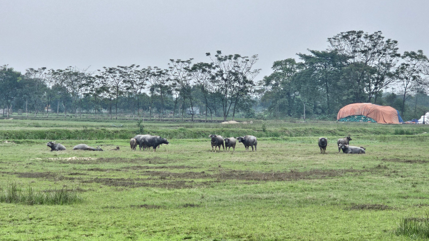 Dù đang là khu đất trống nhưng dự án Cụm Công nghiệp Hồng Dương đã rầm rộ chào bán shophouse dịch vụ, cho thuê đất thông qua "hợp đồng hợp tác đầu tư”.