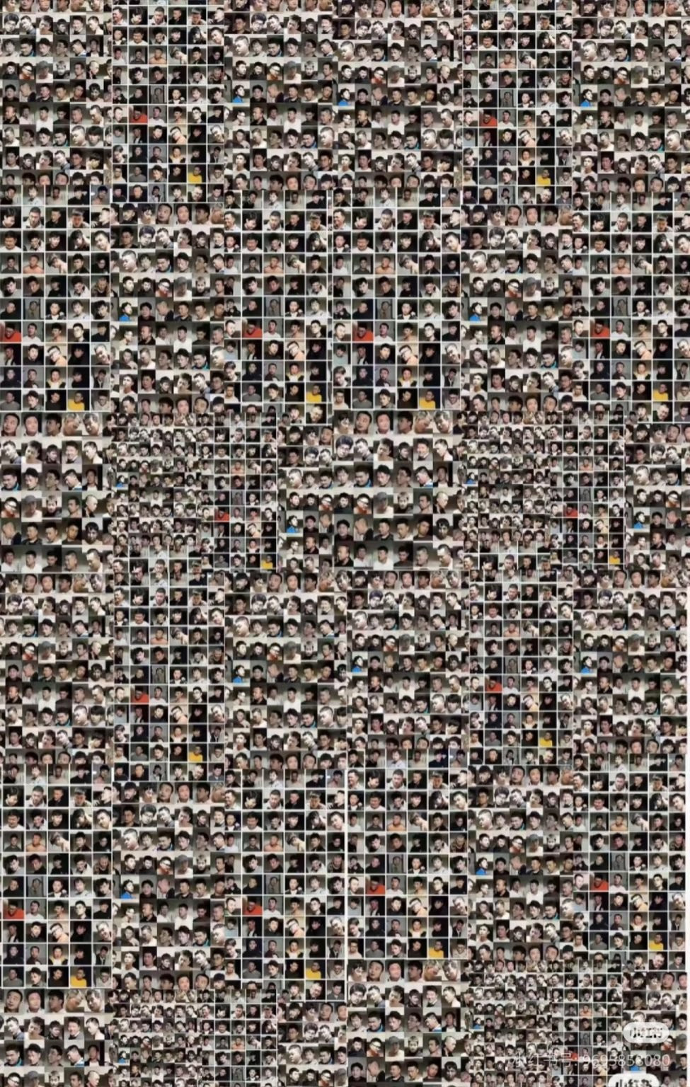 Các nạn nhân được cho là bao gồm sinh viên đại học, nhân viên văn phòng, và đáng chú ý là một số nam giới đẹp trai, vạm vỡ, trong đó có nhiều người có lượng người theo dõi lớn trên các nền tảng mạng xã hội Trung Quốc. Cụm từ "hot boys in Sister Hong scandal" (Trai đẹp trong vụ bê bối Chị Hồng) và "fitness trainers and Sister Hong" (huấn luyện viên thể hình và Chị Hồng) hiện đang là xu hướng trên các công cụ tìm kiếm hàng đầu của Trung Quốc. Các nạn nhân được cho là bao gồm sinh viên đại học, nhân viên văn phòng, và đáng chú ý là một số nam giới đẹp trai, vạm vỡ, trong đó có nhiều người có lượng người theo dõi lớn trên các nền tảng mạng xã hội Trung Quốc. Cụm từ "hot boys in Sister Hong scandal" (Trai đẹp trong vụ bê bối Chị Hồng) và "fitness trainers and Sister Hong" (huấn luyện viên thể hình và Chị Hồng) hiện đang là xu hướng trên các công cụ tìm kiếm hàng đầu của Trung Quốc.