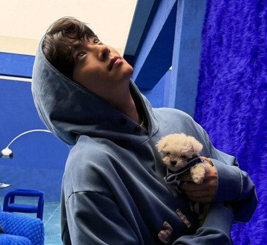 Cha Eun Woo gây sự chú ý đặc biệt thông qua chương trình giải trí Rented in Finland kết thúc vào ngày 7/2 vừa qua. Ngoài ra, nam thần tượng cũng đang được chờ đón trong dự án mới của Netflix, biên kịch là chị em nhà Hong, và đóng cặp với Park Eun Bin có nhan đề The WONDERfools. Lấy bối cảnh năm 1999 đầy lo sợ về ngày tận thế, The WONDERfools là một bộ phim phiêu lưu hành động hài siêu năng lực kể về một nhóm dân làng vụng về bất ngờ có được siêu năng lực và chiến đấu với những kẻ xấu đe dọa đến hòa bình của thành phố Haeseong. Khác với những vai diễn trước, Cha Eun Woo vào vai Lee Woon Jung, một công chức vụng về về mặt xã hội đến từ Seoul. Một người đàn ông có nguyên tắc và luôn tuân thủ các quy tắc trong công việc, anh là một nhân vật bí ẩn cùng Chae Ni (Park Eun Bin) truy tìm một loạt người mất tích ở thành phố Haeseong. Cha Eun Woo gây sự chú ý đặc biệt thông qua chương trình giải trí Rented in Finland kết thúc vào ngày 7/2 vừa qua. Ngoài ra, nam thần tượng cũng đang được chờ đón trong dự án mới của Netflix, biên kịch là chị em nhà Hong, và đóng cặp với Park Eun Bin có nhan đề The WONDERfools. Lấy bối cảnh năm 1999 đầy lo sợ về ngày tận thế, The WONDERfools là một bộ phim phiêu lưu hành động hài siêu năng lực kể về một nhóm dân làng vụng về bất ngờ có được siêu năng lực và chiến đấu với những kẻ xấu đe dọa đến hòa bình của thành phố Haeseong. Khác với những vai diễn trước, Cha Eun Woo vào vai Lee Woon Jung, một công chức vụng về về mặt xã hội đến từ Seoul. Một người đàn ông có nguyên tắc và luôn tuân thủ các quy tắc trong công việc, anh là một nhân vật bí ẩn cùng Chae Ni (Park Eun Bin) truy tìm một loạt người mất tích ở thành phố Haeseong.