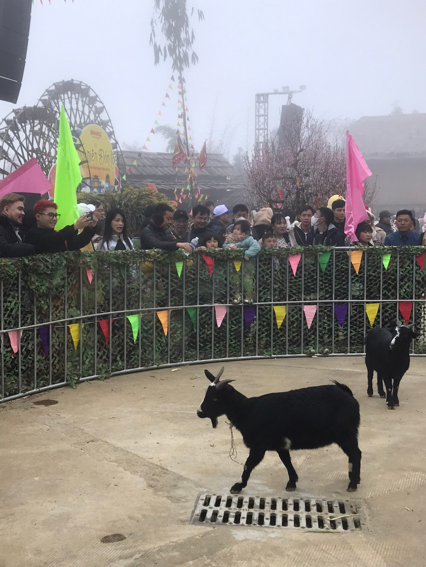 Trong những ngày đầu tiên của năm mới Giáp Thìn 2024, hàng ngàn du khách đổ về TX.Sa Pa để tận hưởng không khí Tết Nguyên đán độc đáo của “thành phố trong sương”. Các điểm du lịch nổi tiếng tại Sa Pa luôn đông nghịt người như cáp treo Fansipan; bản Tả Van, Cát Cát, Tà Phìn...