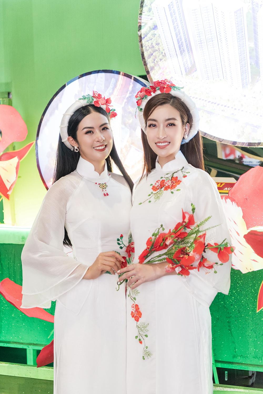 Với riêng Ngọc Hân và Đỗ Mỹ Linh, gia đình hai người đẹp đều có gốc ở Hải Phòng nhưng lại sinh ra, trưởng thành ở thủ đô. Cả hai đều đang hoạt động rất năng nổ trong showbiz và được công chúng yêu mến bởi hình ảnh sạch, không scandal.