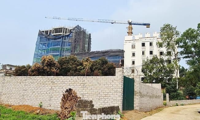 Ngoài ra, UBND xã Sơn Đông, Phòng Tài nguyên và Môi trường, Đội quản lý trật tự xây dựng đô thị thị xã Sơn Tây phải tổ chức kiểm điểm trách nhiệm đối với tập thể cá nhân được phân công nhiệm vụ thực hiện quản lý đất đai, trật tự xây dựng.