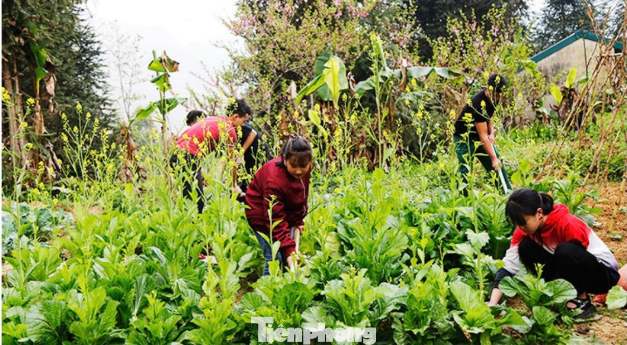 Các con tham gia tăng gia sản xuất cùng cán bộ, chiến sĩ.