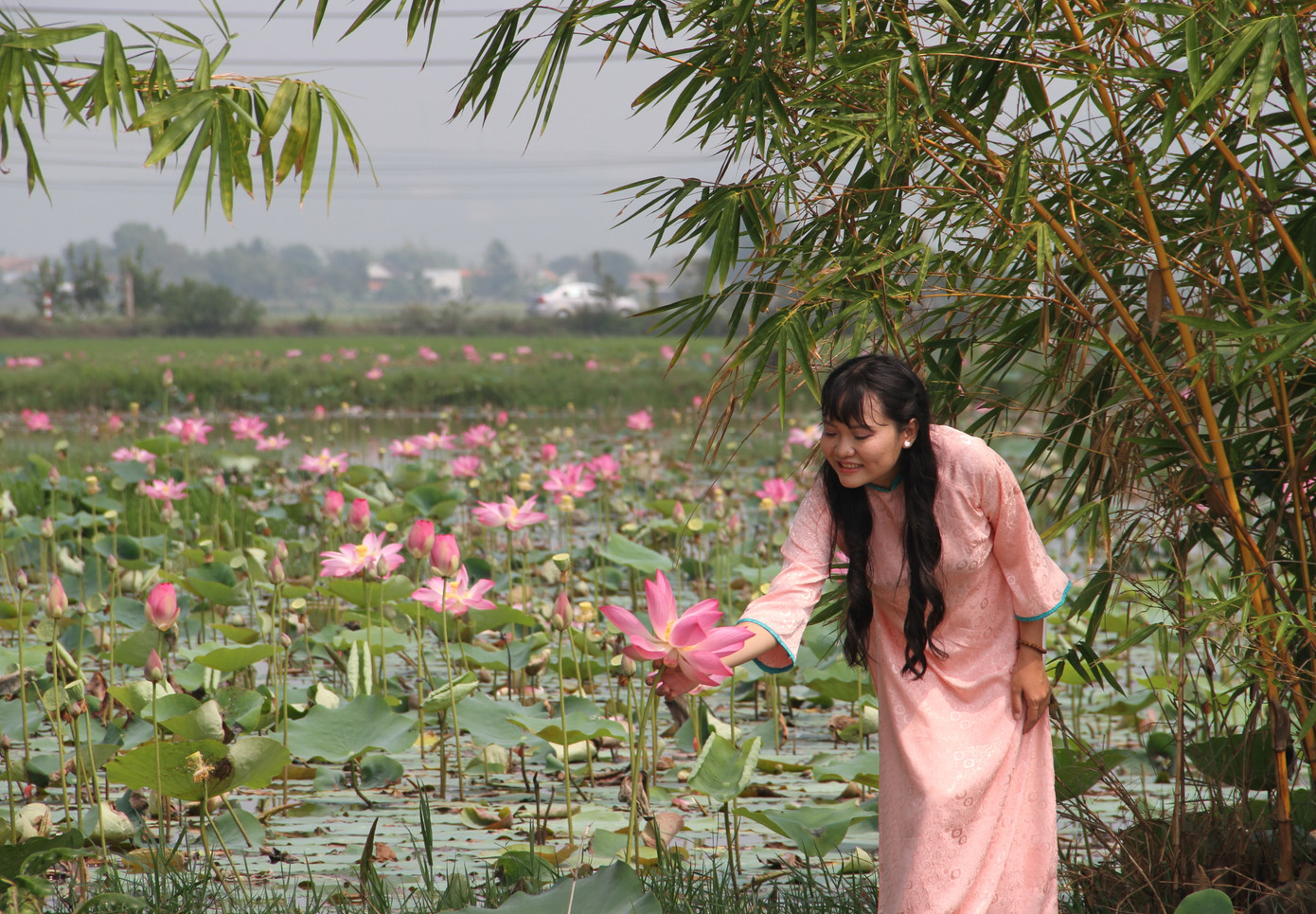 “Ở quê mình có rất ít những đầm sen đẹp như ở đây. Trong lúc đi du lịch Nha Trang, nghe bạn bè bảo ở đây có đầm sen đẹp nên mình tranh thủ ra đây chụp mấy tấm hình làm kỷ niệm”, chị Thảo chia sẻ.