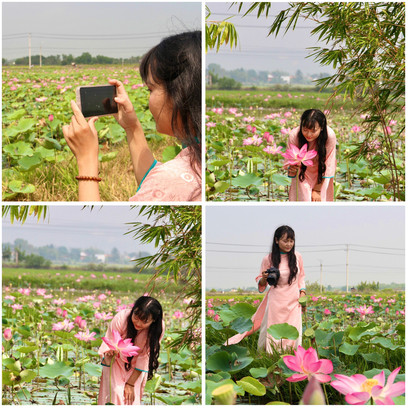 Trong những du khách từ phương xa tới chụp hình ở những đầm sen Quán Trà, chị Hương Thảo (ở thành phố Buôn Ma Thuột, tỉnh Đắk Lắk) cho biết, chị rất thích vẻ đẹp thuần khiết của những đầm sen nơi đây.