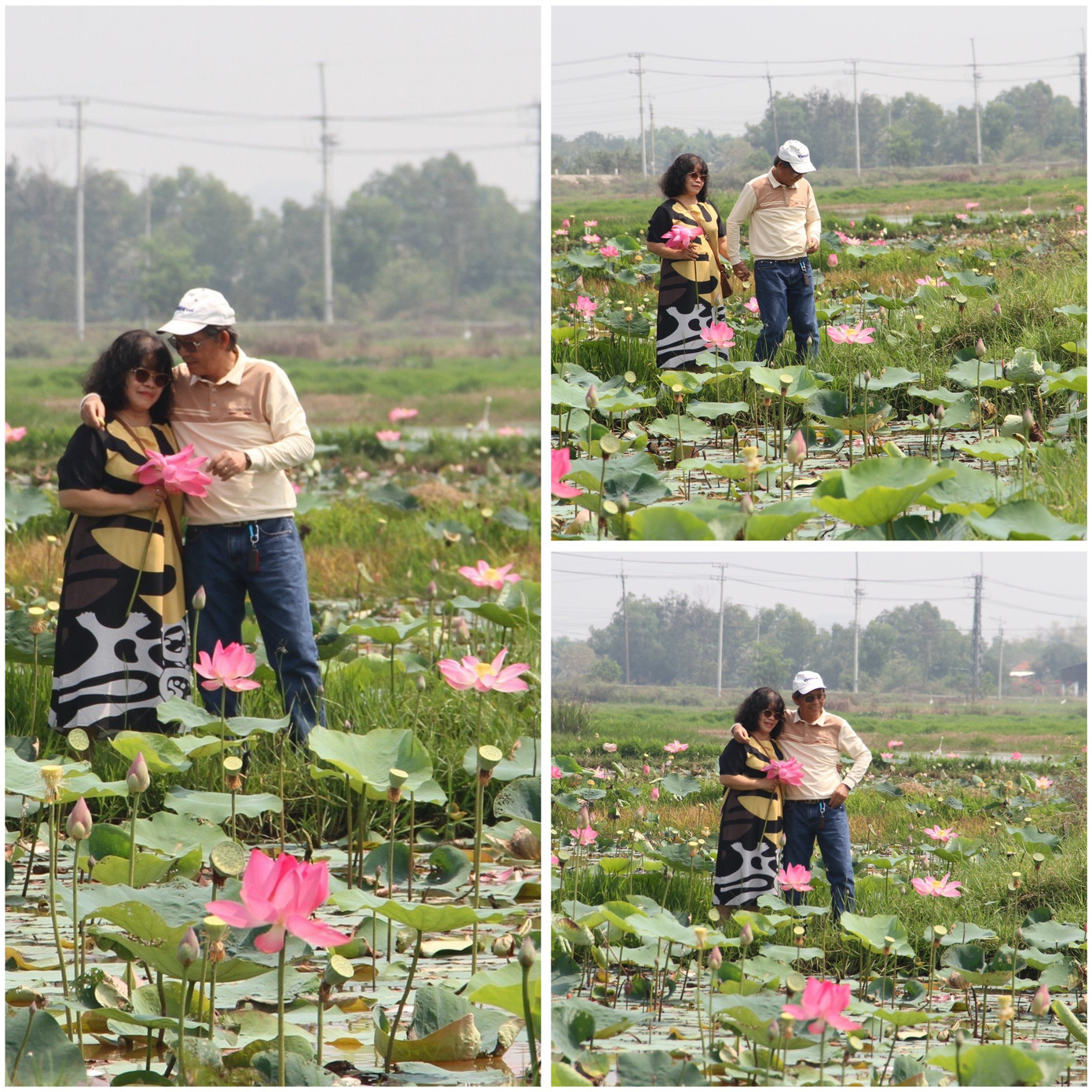Vợ chồng chị Thái Huyền Nga cũng chạy xe hơn 30 km từ thành phố Nha Trang ra những đầm sen Quán Trà để chụp hình. “Những ngày gần đây, vô tình thấy trên đường xuất hiện nhiều cánh đồng hoa sen tỏa hương, nở rộ nên tôi đã rủ chồng đến để chụp hình. Tôi thấy ấn tượng trước vẻ đẹp thơ mộng, tinh khiết của đồng hoa”, chị Nga nói.