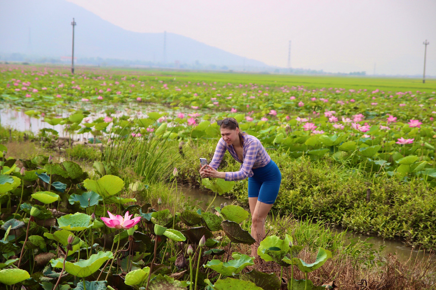 Một du khách nước ngoài mê mẩn chụp hình hoa sen tại đầm sen Quán Trà.