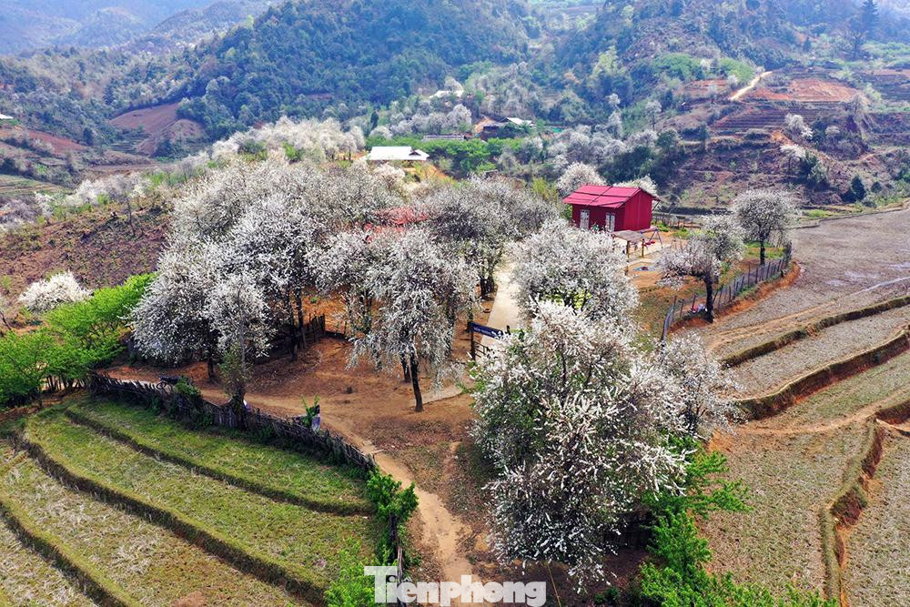 Trên đỉnh cao nhất của Lùng Cúng có một bãi đất bằng phẳng rộng khoảng 1ha với tầm nhìn bao quát xung quanh như: thung lũng Lùng Cúng, xã Chế Cu Nha (Mù Cang Chải), các xã của huyện Văn Bàn (Lào Cai)… Khí hậu nơi đây thật trong lành với thảm thực vật phong phú, tại các vùng phụ cận còn có thêm các loài hoa rừng như: hoa đỗ quyên, cây Phong lá đỏ và một số loài hoa khác.
