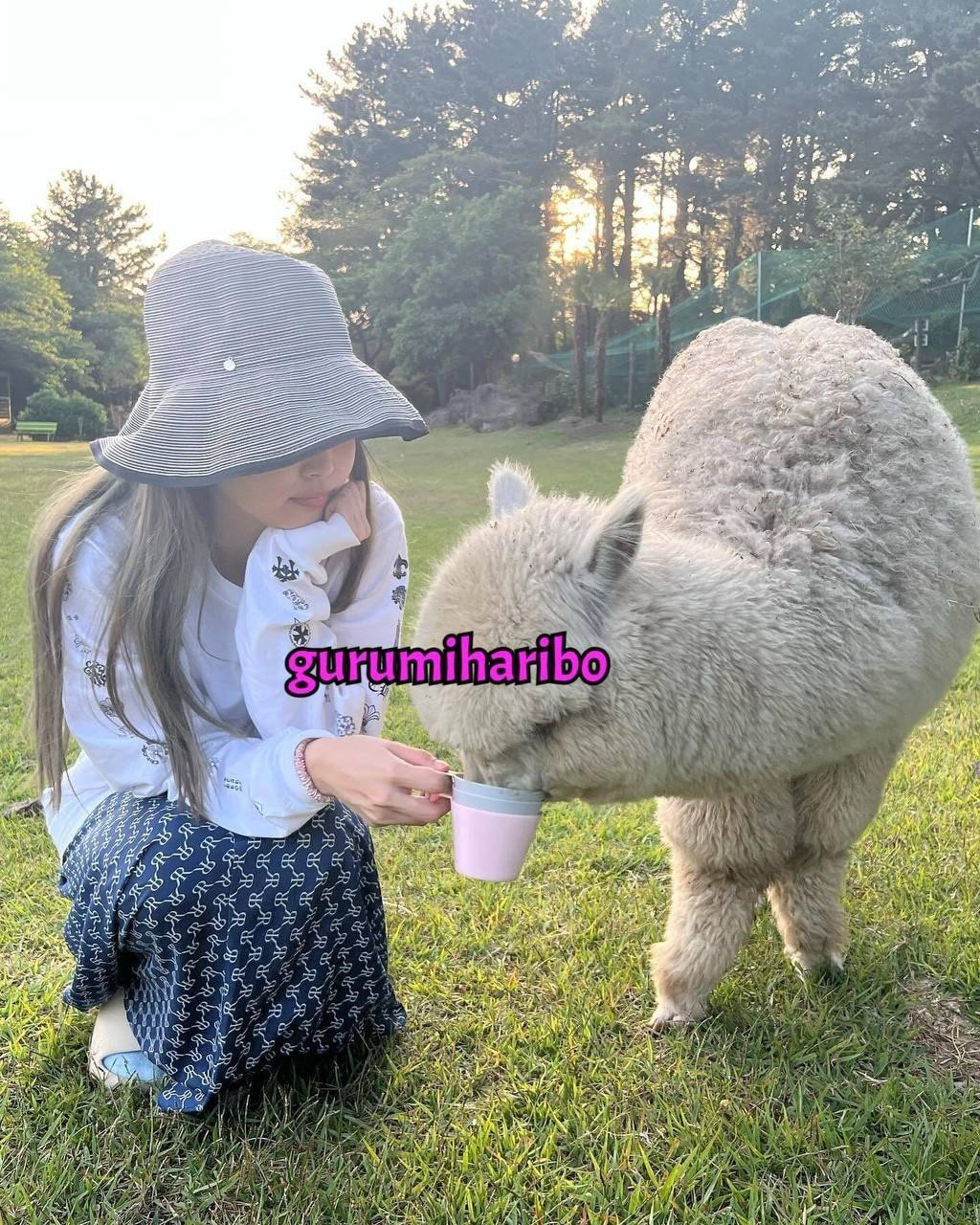 Hình ảnh hẹn hò mới của V và Jennie. Ảnh: Gurumi Haribo. Hình ảnh hẹn hò mới của V và Jennie. Ảnh: Gurumi Haribo.