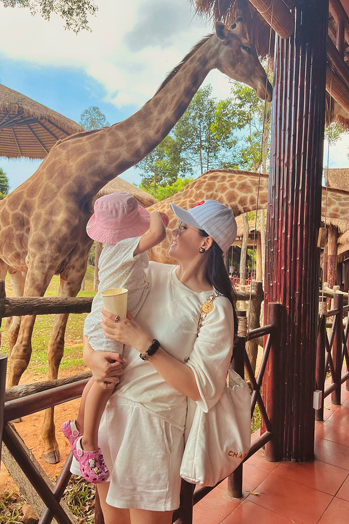 Bé Sochu tỏ ra bạo dạn trong lần đầu được đi safari, tự tay cho hươu cao cổ ăn.