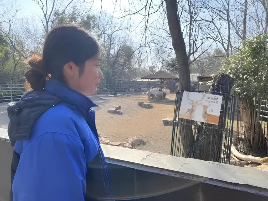 Cô gái 25 tuổi yêu thích công việc trong sở thú. Ảnh: QQ