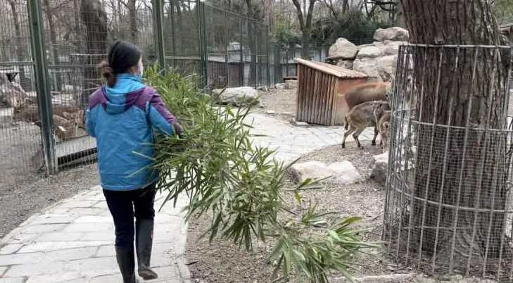 Công việc vất vả nhưng giúp cô tích lũy nhiều kinh nghiệm thực tế. Ảnh: QQ