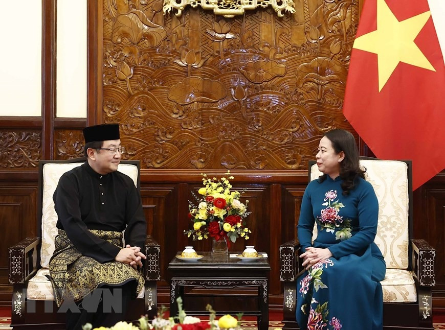 Quyền Chủ tịch nước Võ Thị Ánh Xuân tiếp Đại sứ Malaysia Tan Yang Thai. (Ảnh: Thống Nhất/TTXVN)