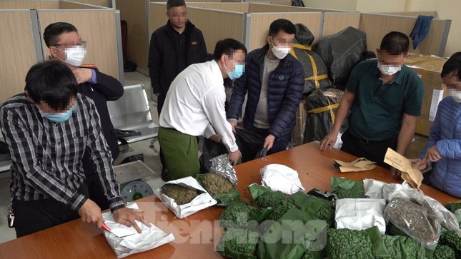 Số lượng lớn ma túy cần sa thu giữ. Số lượng lớn ma túy cần sa thu giữ.