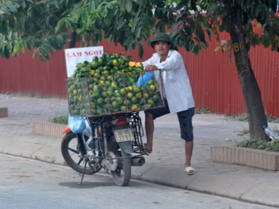 Trên các tuyến đường ven đô, xe bán cam rong xuất hiện nhiều
