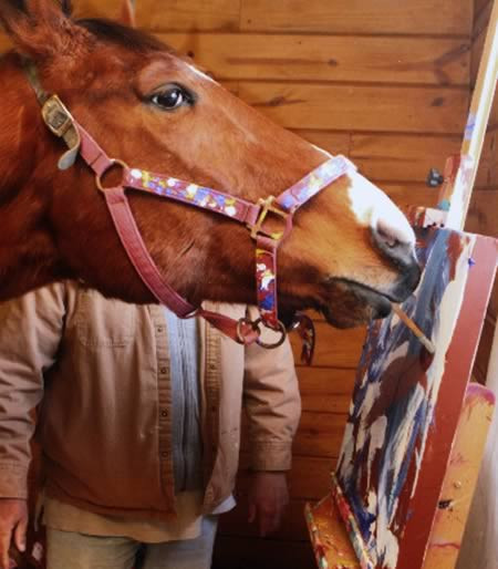 Chú ngựa Metro Meteor sau thời gian bị chấn thương ở trường đua đã bất ngờ phát tài với khả năng vẽ tranh