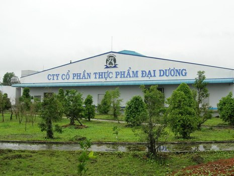 Công ty Đại Dương hoạt động trở lại sau khi có chủ mới và được ngân hàng cho vay vốn trở lại. Ảnh: Duy Khang