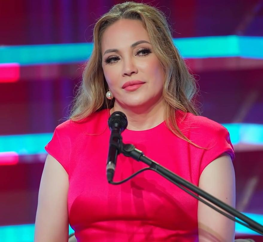 Thanh Hà xuất hiện trong chương trình với chiếc váy rực rỡ như một đóa hồng (Ảnh: Chụp màn hình)