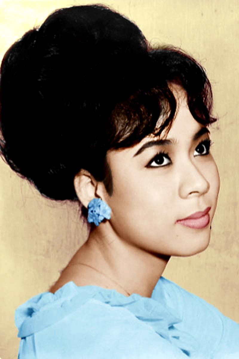 Mỹ nhân được mệnh danh Elizabeth Taylor của Việt Nam một thời (Ảnh: Internet)