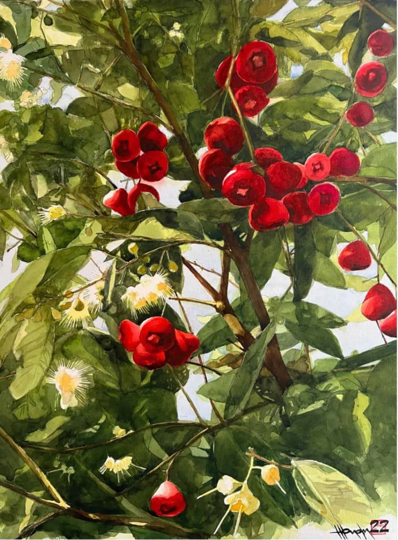 Hồng Quân yêu Bến Tre với những mảnh vườn cây trái sum suê như chuối, mít, dừa, đu đủ... Đặc biệt là những trái mận (quả doi) mọng đỏ khoe sắc trong màu xanh mướt của lá dưới nắng vàng rực rỡ. Chúng đẹp đến độ họa sĩ ngẩn ngơ ngắm nhìn và đưa vào tranh. Đó là tác phẩm Mùa mận chín.