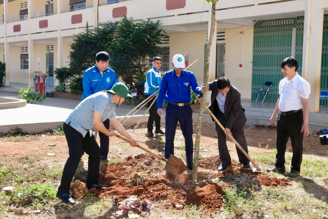 Hơn 3.000 cây xanh, cây cảnh quan được trồng mới toàn tỉnh Lâm Đồng.