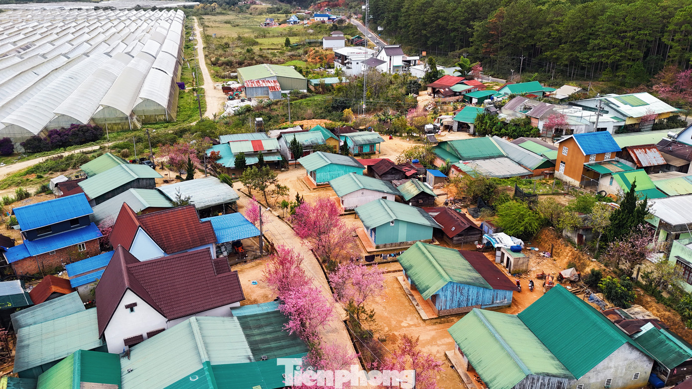 Làng là nơi sinh sống của người K'ho, một dân tộc thiểu số thuộc nhóm Mạ. Dù dân số không đông đúc, nhưng vẫn giữ được những nét văn hóa đặc sắc của cộng đồng bản địa.