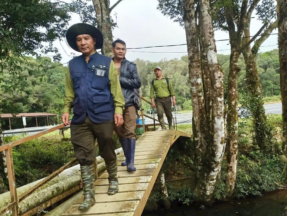 Cán bộ, kiểm lâm ở Lâm Đồng đi tuần tra rừng.