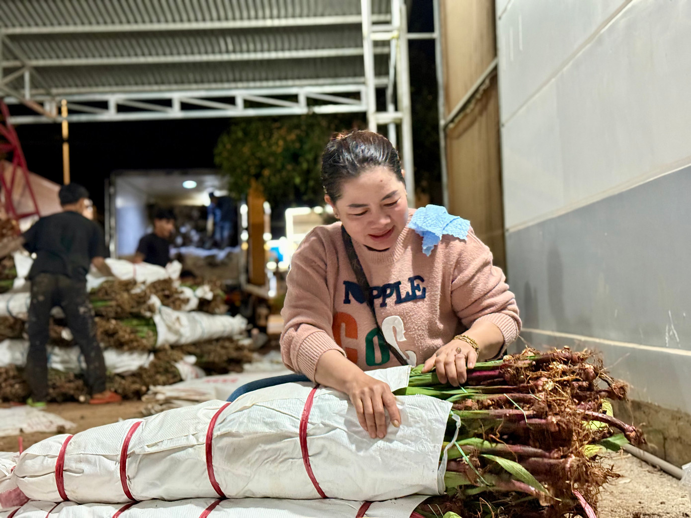 Chị Trần Thị Chương, thương lái đến từ Ninh Thuận cho hay cùng thời điểm này năm ngoái, thương lái xếp hàng dài để mua, nhưng năm nay vắng vẻ hơn nhiều do các tỉnh phía Bắc có nguồn cung dồi dào. Giá lay ơn nhập chỉ từ 17.000-20.000 đồng/ bó 10 cành. Ảnh: Thái Lâm.