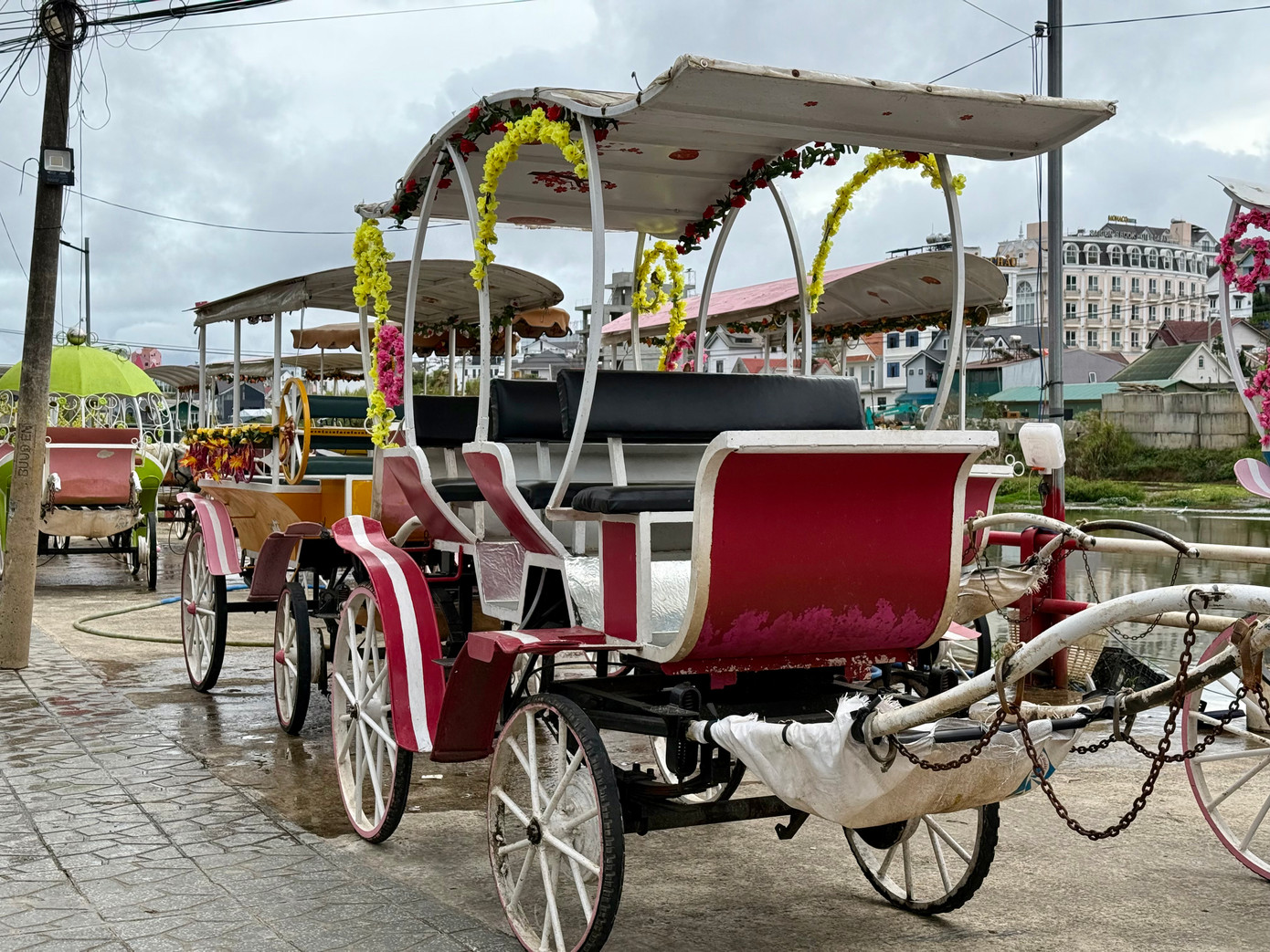 Nhiều xe ngựa vừa được chủ tân trang để chở khách.