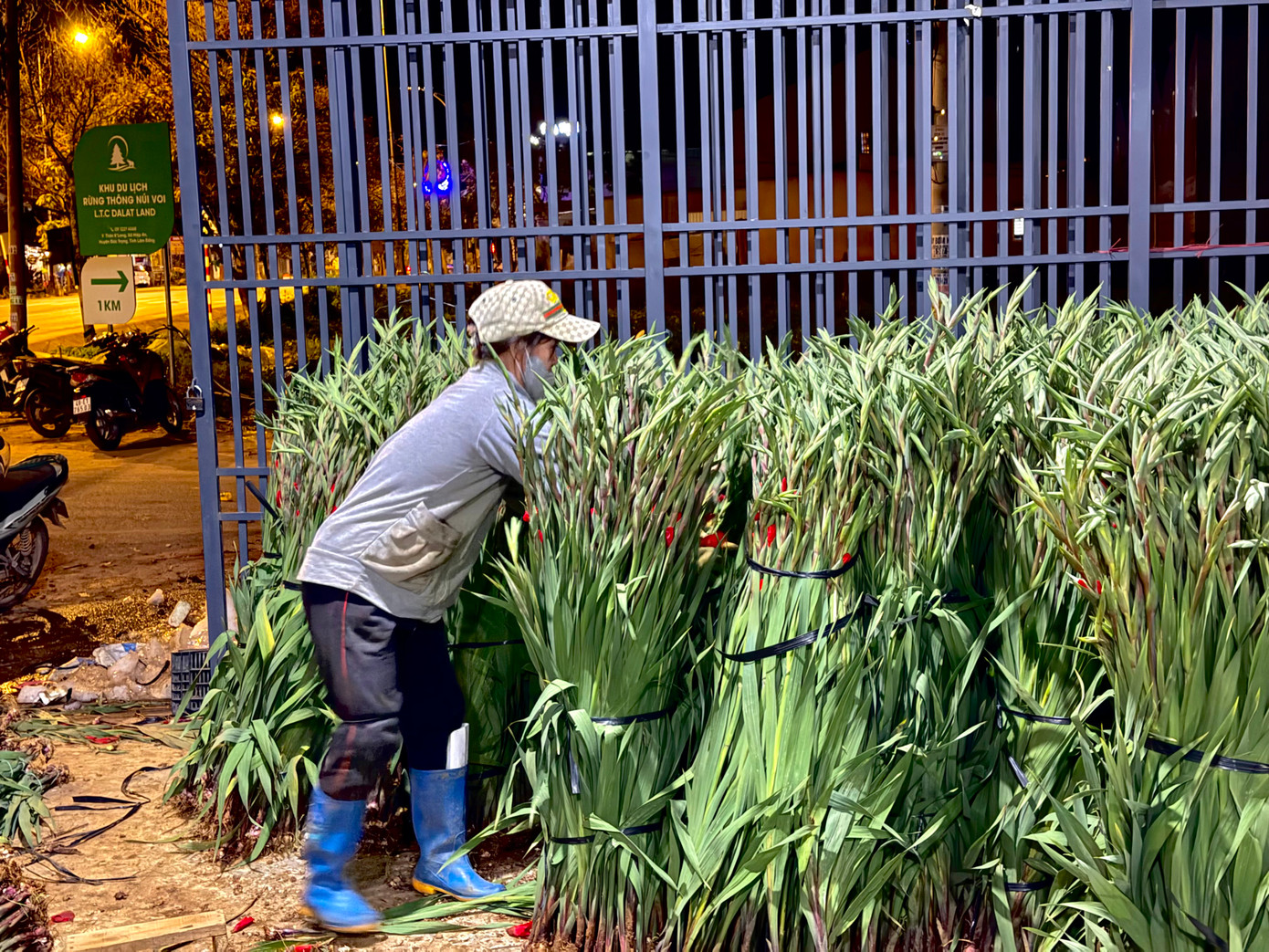 "Tiền công khi thuê lao động được tính khoán 1.500 đồng/bó. Người nào nhanh, mỗi ngày có thể kiếm được 600.000 đồng đến một triệu đồng", chị Chương cho hay. Ảnh: Thái Lâm.