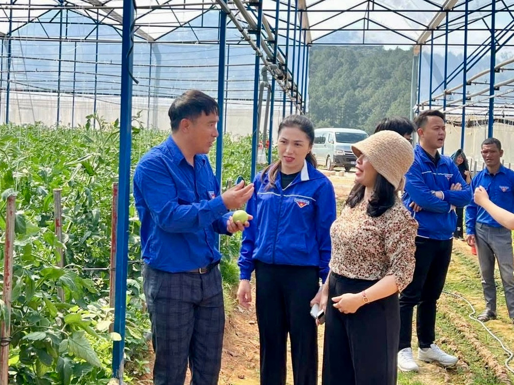 Tỉnh Đoàn Lâm Đồng đã đến tham quan mô hình canh tác nông nghiệp hữu cơ và ứng dụng chuyển đổi số của thanh niên Nguyễn Văn Thành. Đây là một trong những mô hình tiêu biểu được hỗ trợ vay vốn từ Đề án Chính sách tín dụng dành cho thanh niên khởi nghiệp (Đề án 1902).