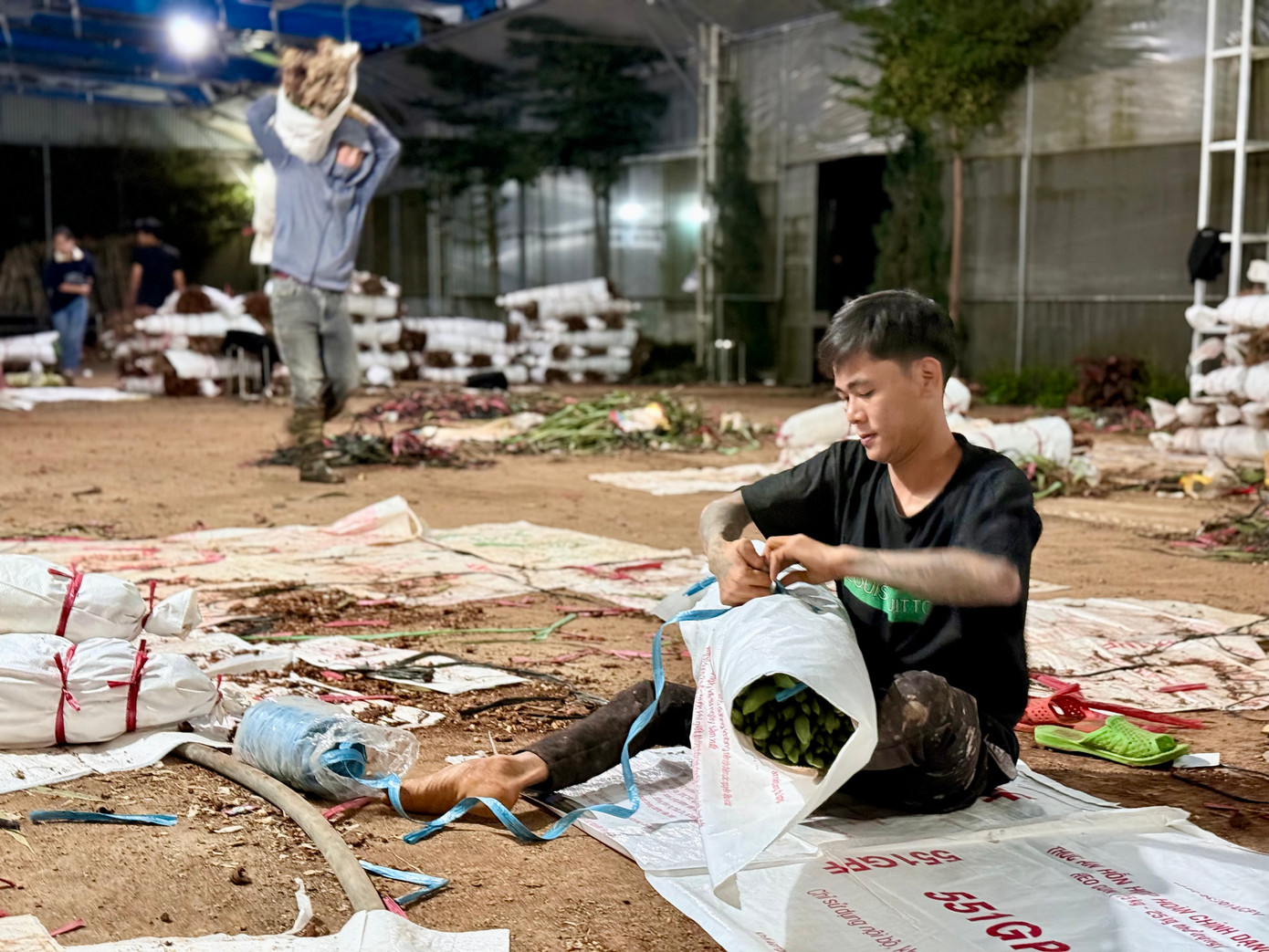 Chị Chương cho biết mỗi ngày chị thuê khoảng 30 người, làm việc trong 3 ngày. Thời gian làm việc từ 8-17 giờ, tuy nhiên nhiều hôm phải làm đến tận 3h ngày hôm sau vì lượng hoa lớn, xe vận chuyển chậm chuyến. Ảnh: Thái Lâm.