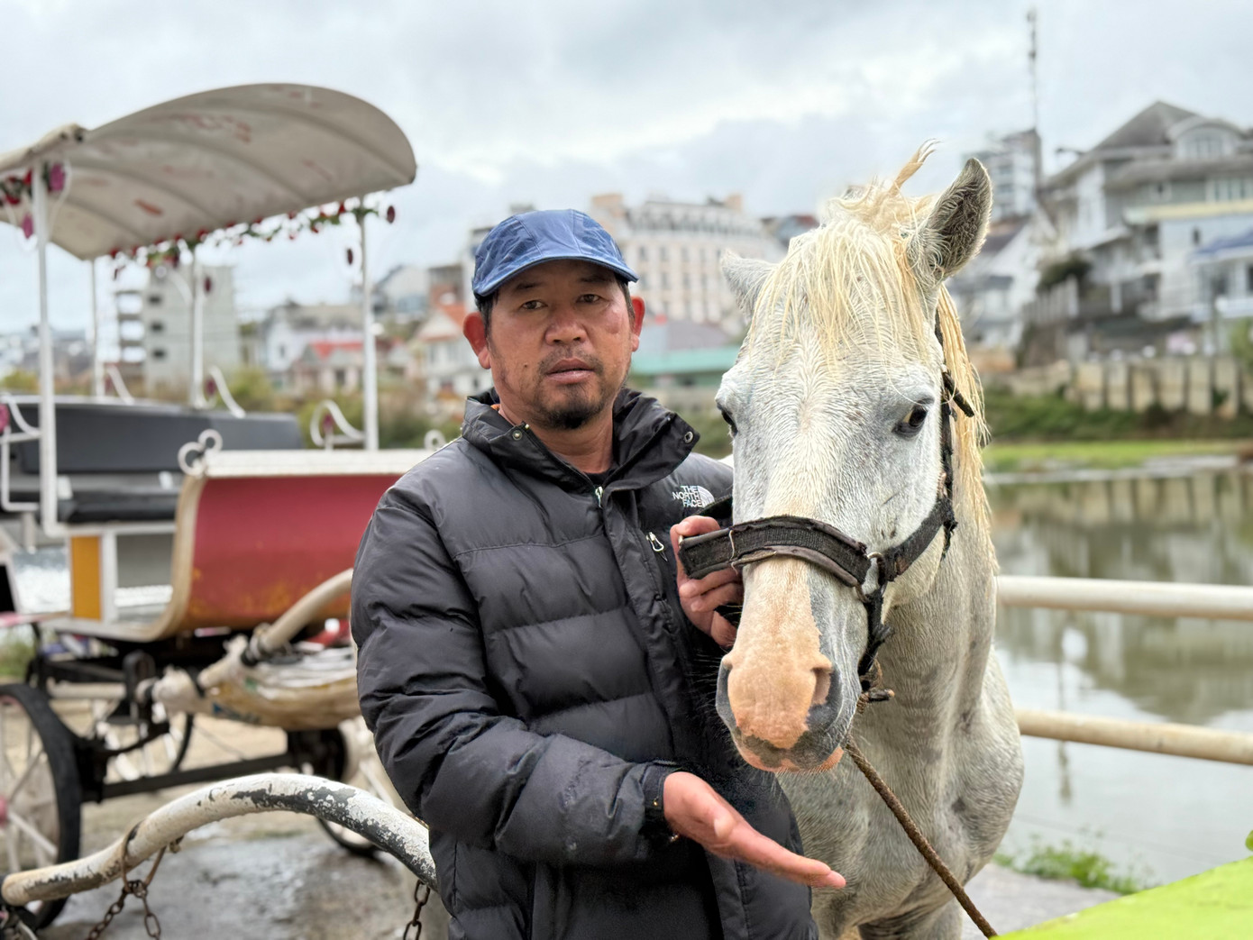 Ông Lê Viết Đông buồn rầu bên chú ngựa chở khách hàng chục năm.