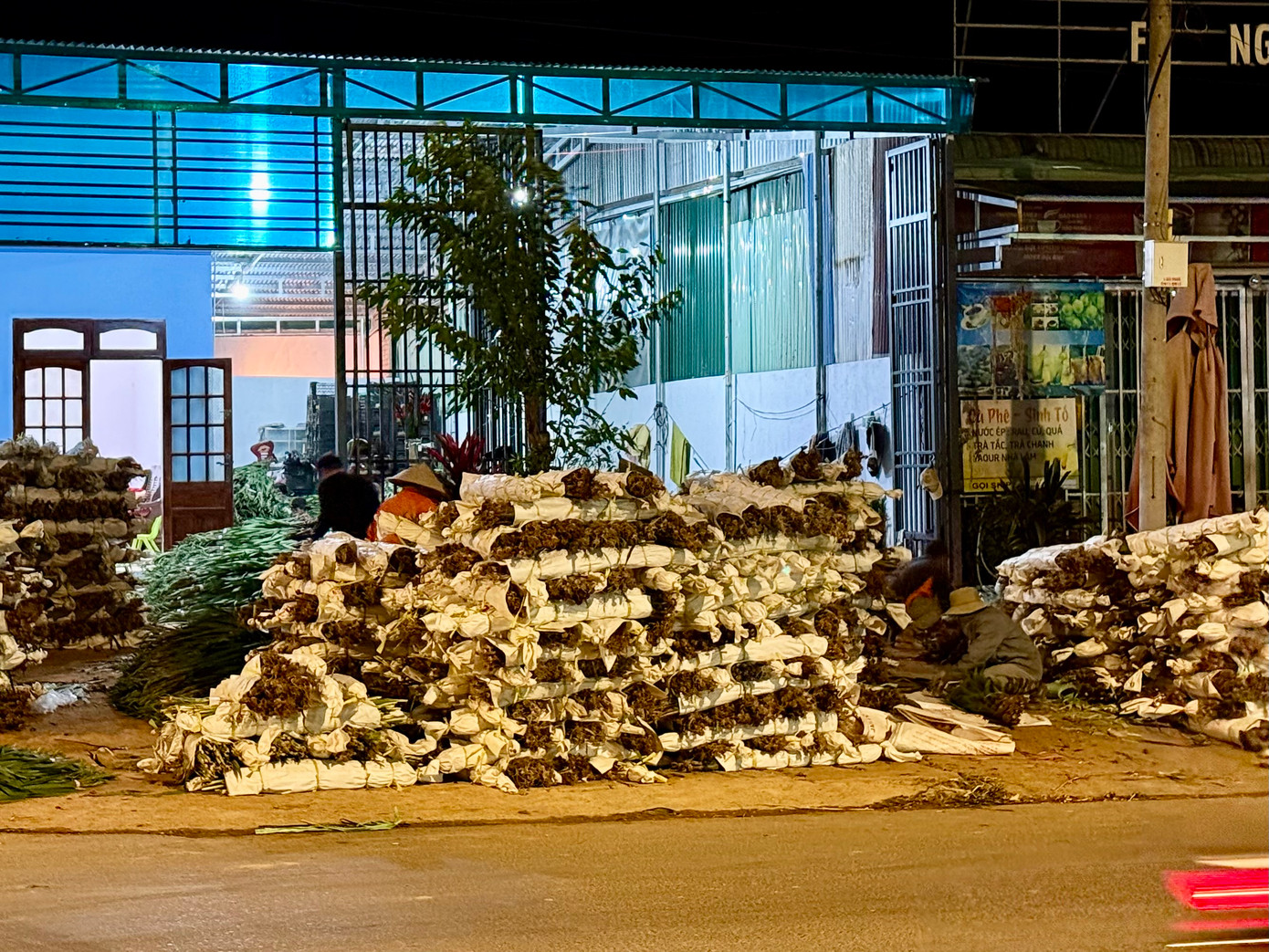 Nông dân Lâm Đồng thức trắng đêm bó hoa ảnh 2