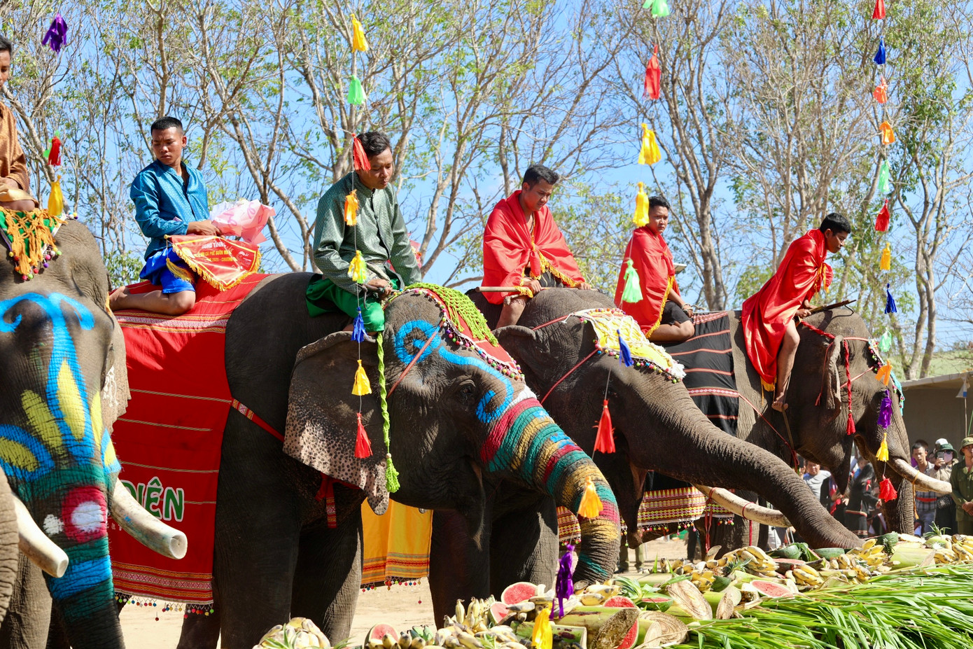 Các chú voi thưởng thức buffet rau, củ quả kết hợp tương tác giữa khách mời, khán giả, du khách chụp hình.