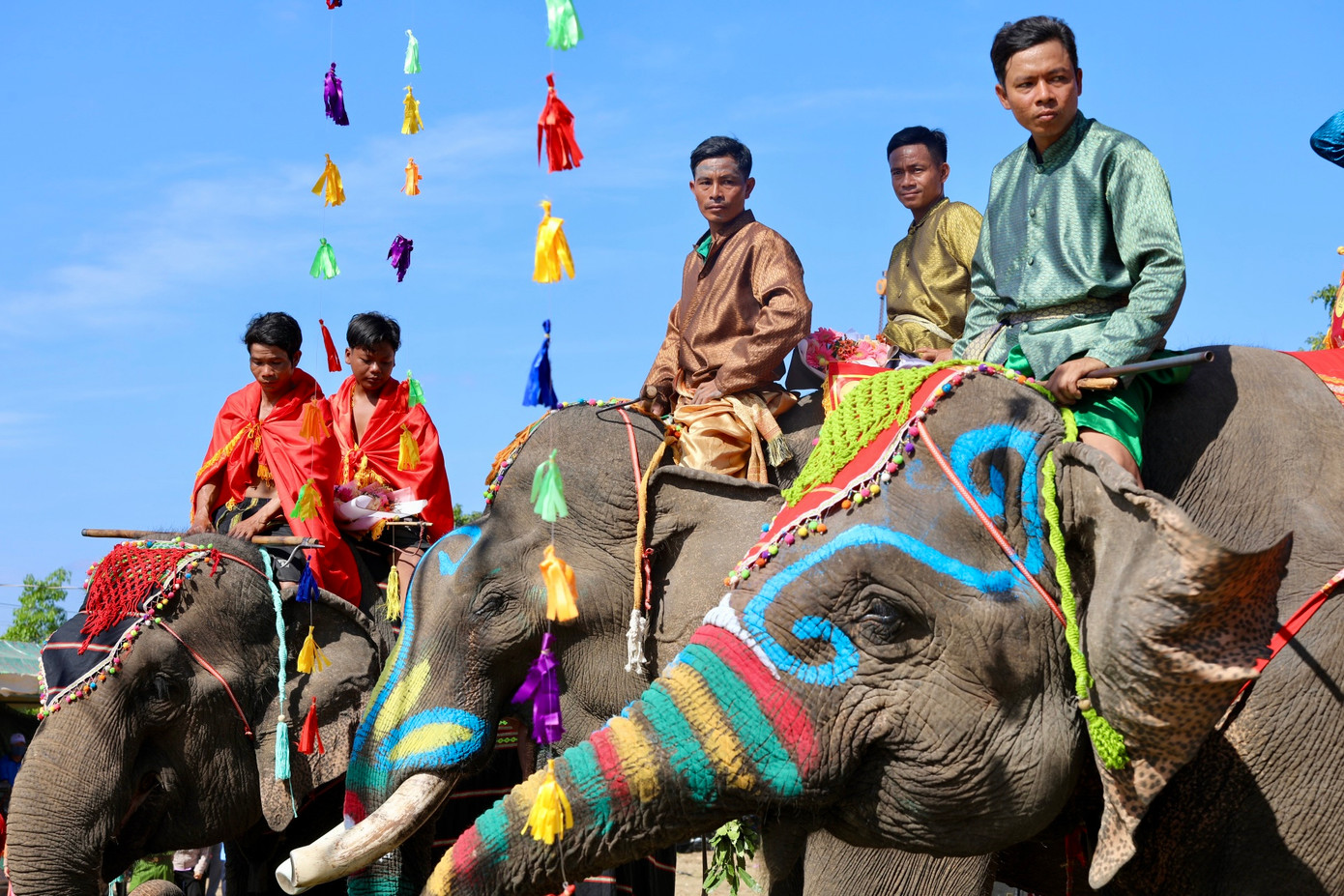 Hình ảnh những chú voi được trang điểm đẹp nhất.