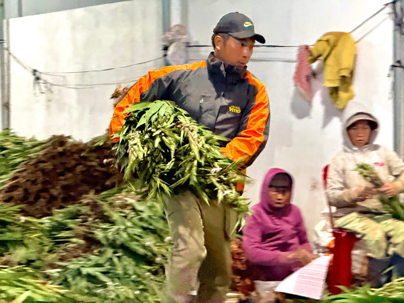 Đa số người lao động tại các điểm thu mua đều mặc nhiều áo, đội mũ... do đêm rét. Ảnh: Thái Lâm.