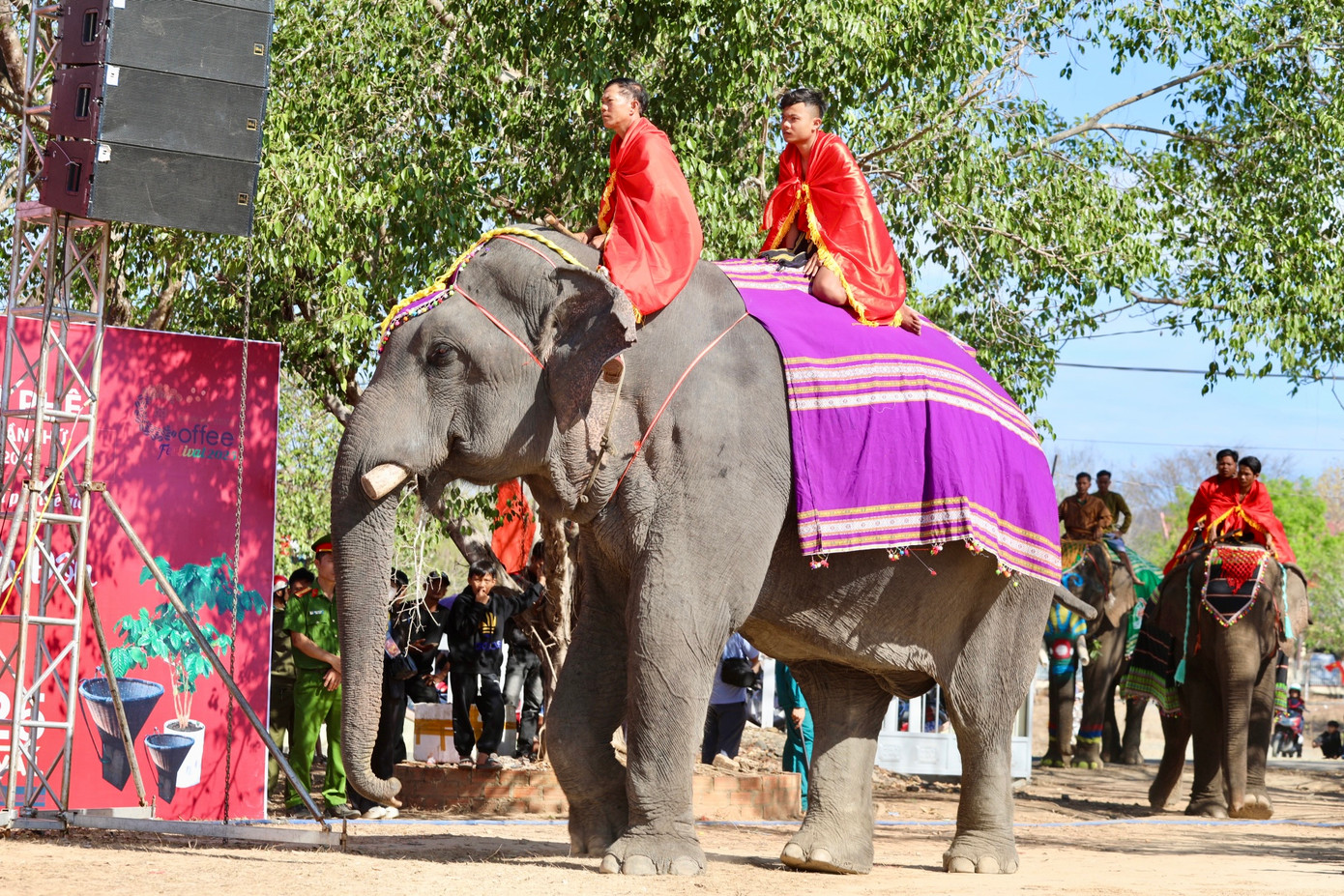 Năm nay, hội voi có 6 con voi tham gia, trong đó 2 con của Trung tâm du lịch cầu treo Buôn Đôn và 4 con của người dân trên địa bàn huyện. Các con voi có tuổi đời từ 39-53 tuổi.
