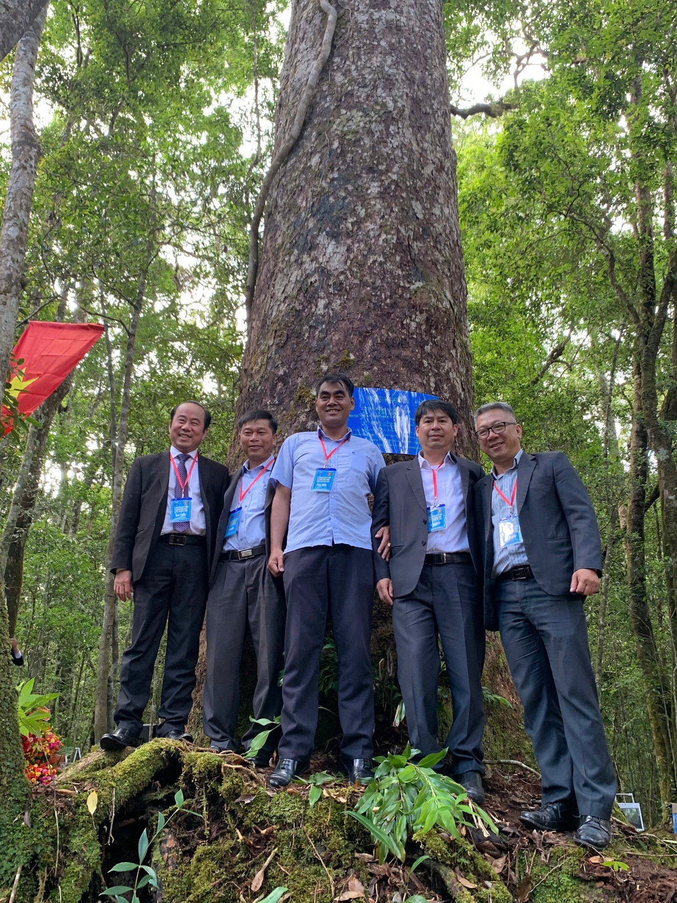 108 cây thông lá dẹt có tuổi đời từ 700 đến 1.000 năm, chiều cao từ 35-40m.