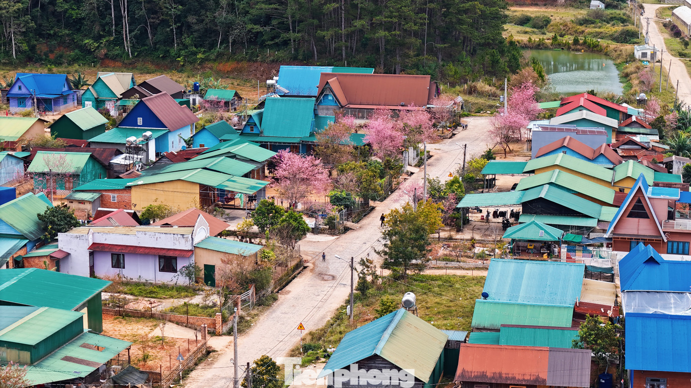 Dịp Tết cũng là thời điểm người dân làng K'long K'lanh tổ chức lễ hội hoa đào để tôn vinh đất trời, cầu cho một năm mưa thuận gió hòa, mùa màng bội thu. Khi đó, người dân tộc K'ho cùng nhau dâng lễ, ca hát, múa, tạo nên không khí lễ hội đậm đà bản sắc.