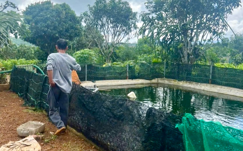 Hồ nước nơi xảy ra vụ tai nạn.