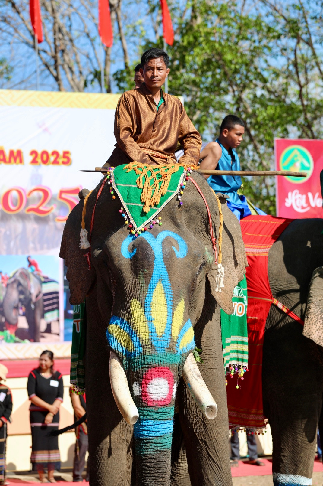 Các chú voi được trang trí bằng các phụ kiện truyền thống, thể hiện sự tôn kính.