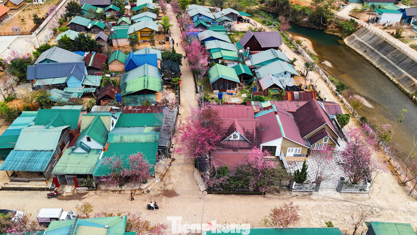 Với những đặc thù này, làng K'long K'lanh không chỉ là nơi du khách đến để chiêm ngưỡng vẻ đẹp hoa đào mà còn là nơi để khám phá, hiểu rõ hơn về giá trị văn hóa của dân tộc thiểu số bản địa.