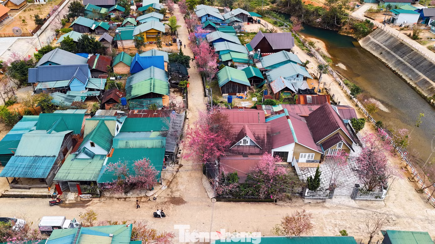 Với những đặc thù này, làng K'long K'lanh không chỉ là nơi du khách đến để chiêm ngưỡng vẻ đẹp hoa đào mà còn là nơi để khám phá, hiểu rõ hơn về giá trị văn hóa của dân tộc thiểu số bản địa.