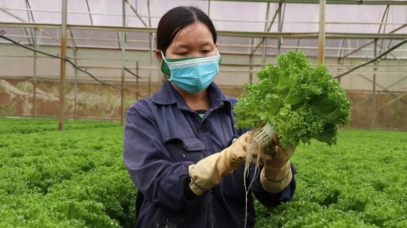 Tỉnh Lâm Đồng mới tham vọng trở thành hạt nhân liên kết, tạo nên chuỗi giá trị liên hoàn và bền vững.