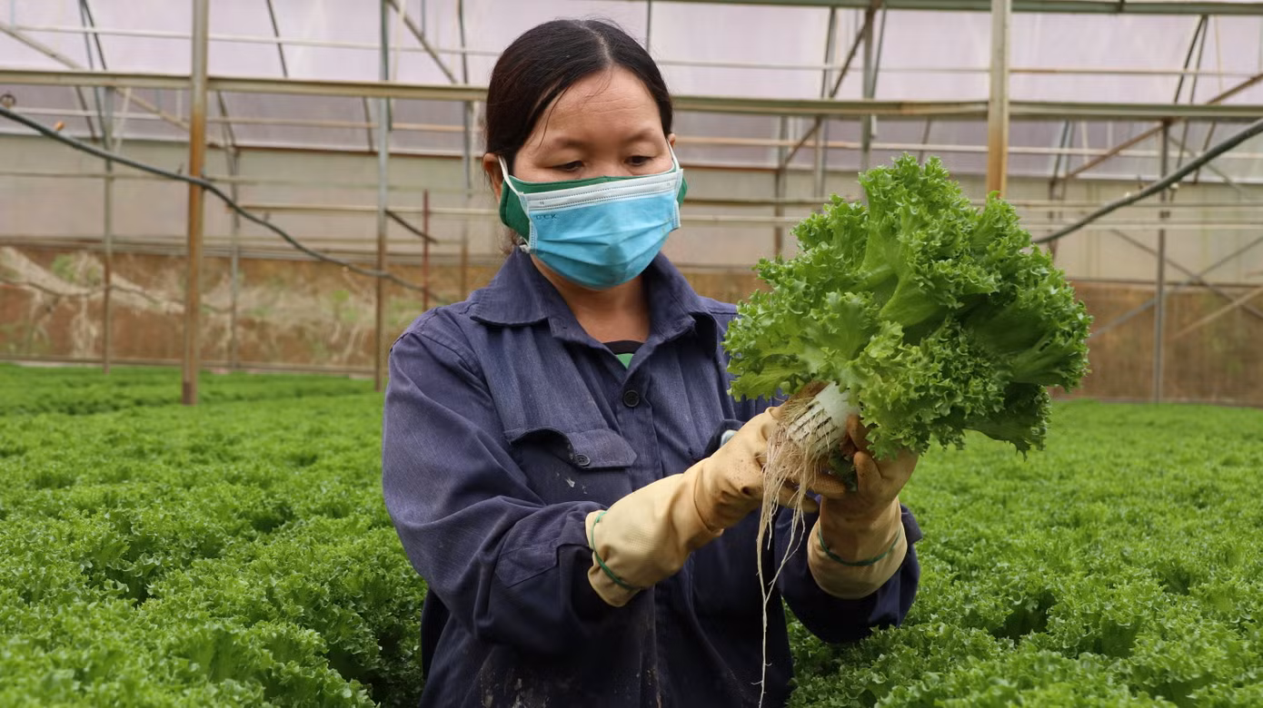 Tỉnh Lâm Đồng mới tham vọng trở thành hạt nhân liên kết, tạo nên chuỗi giá trị liên hoàn và bền vững.