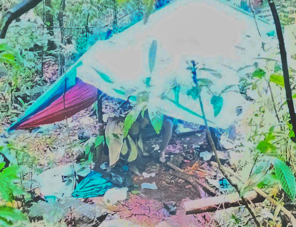 Chòi tạm - nơi phát hiện anh Đ tử vong.